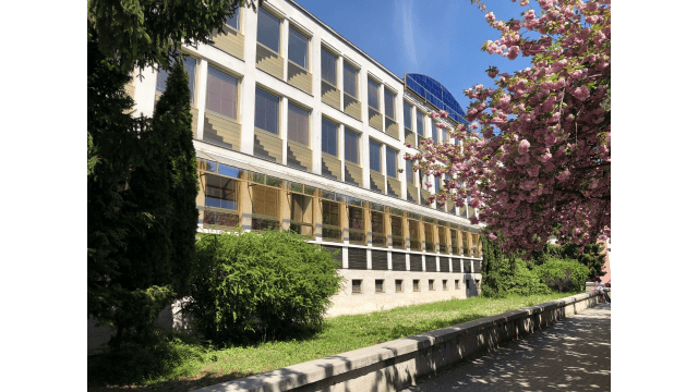 Kancelárie v centre mesta LEVICE ! 15m2 a 20m2 (klíma)