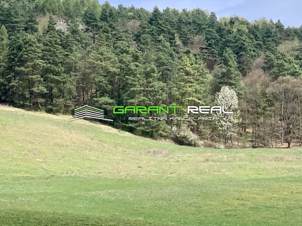 GARANT REAL - predaj lesný pozemok 148.432 m2, Stuľany, okr. Bardejov