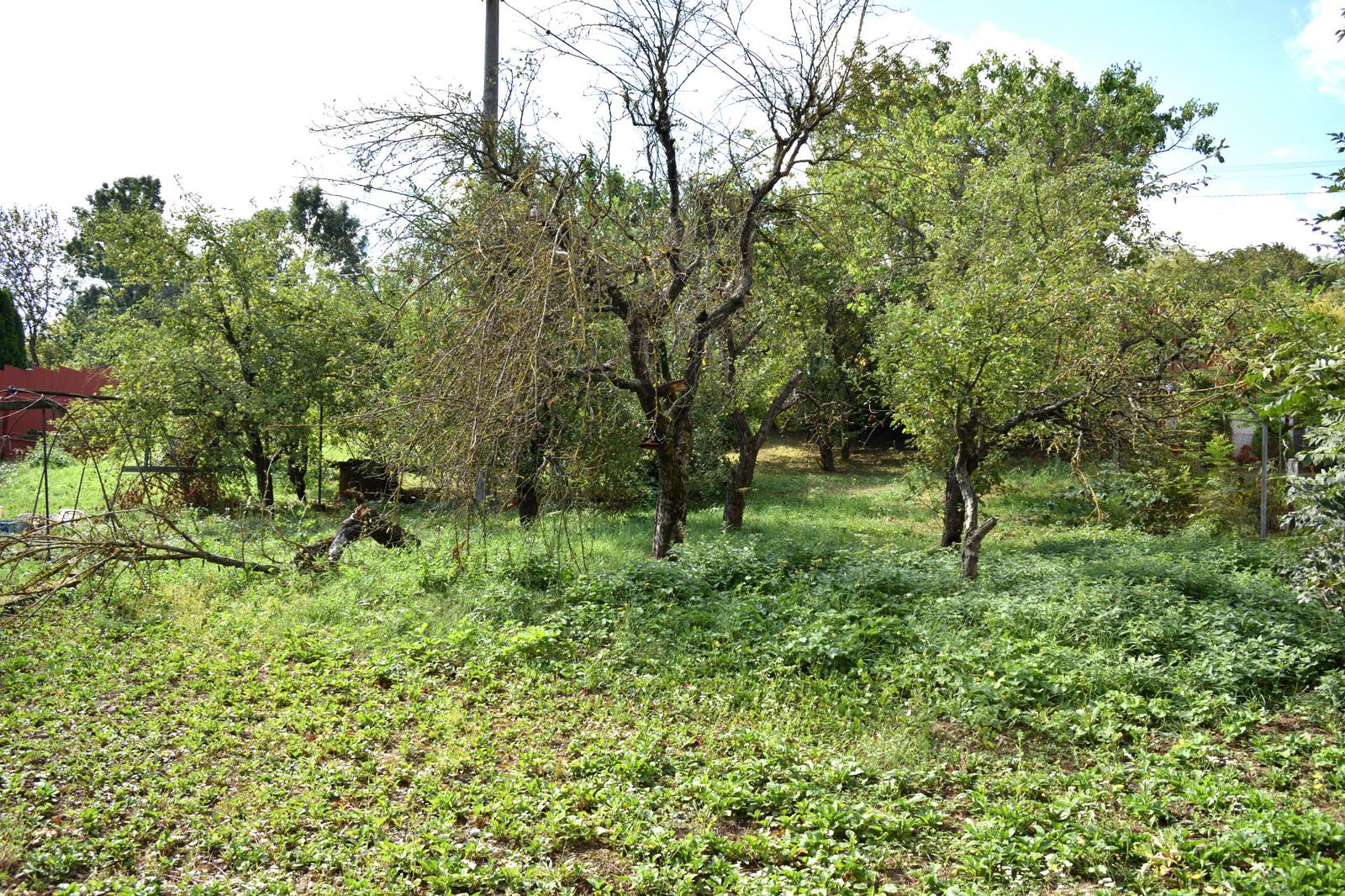 Veľký pozemok 1 322 m² – rodinný dom s potenciálom