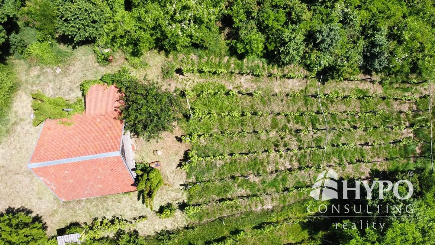 Vínny domček – oáza pokoja pod lesom s výhľadom – fotka 2