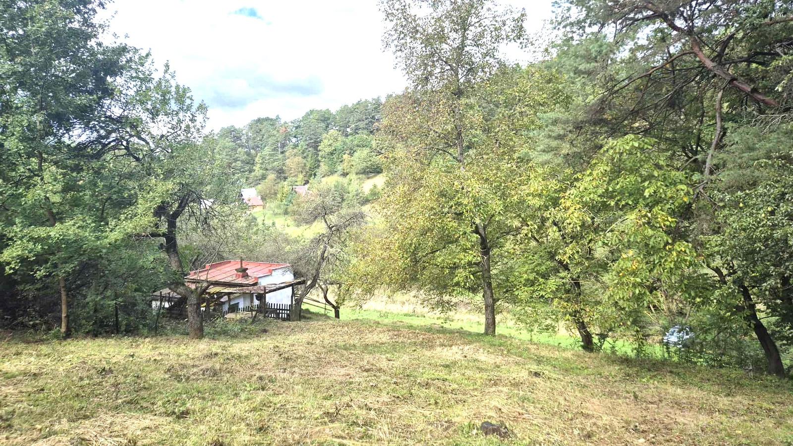 Veľký pozemok v Bardejove časť nad Šibeňou horou s murovanou chatou
