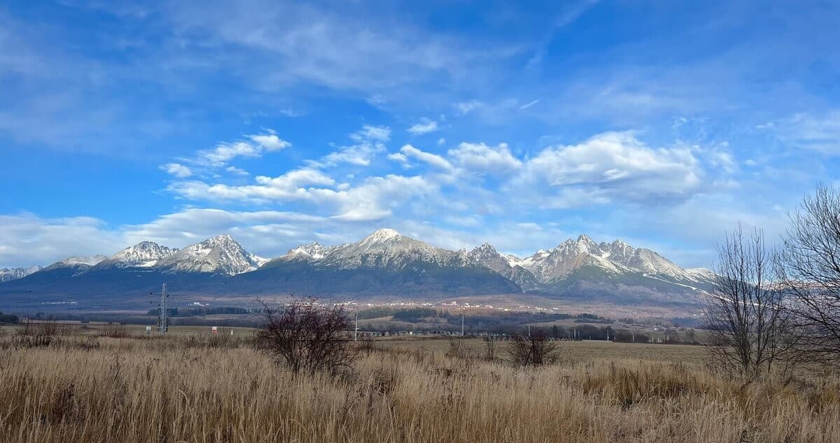 Na predaj stavebný pozemok 800 m2 – fotka 2