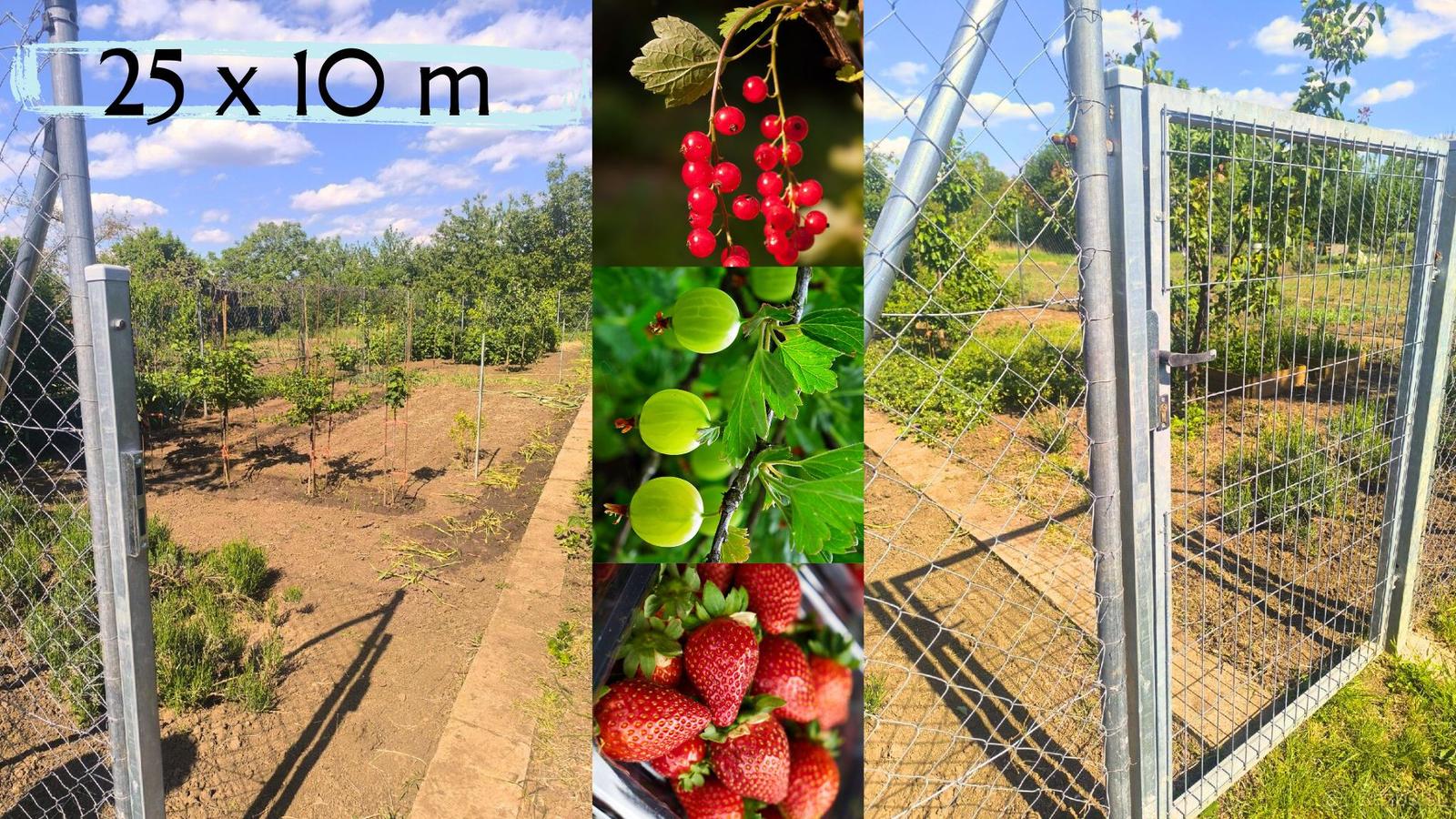 Krásna oplotená záhrada na predaj – bylinky, ovocie, zelenina