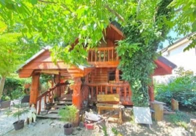 OJEDINELÝ ZRUB V LEHOTE PRI NITRE|461 m²|VEĽKÝ POTENCIÁL|94t. – fotka 2