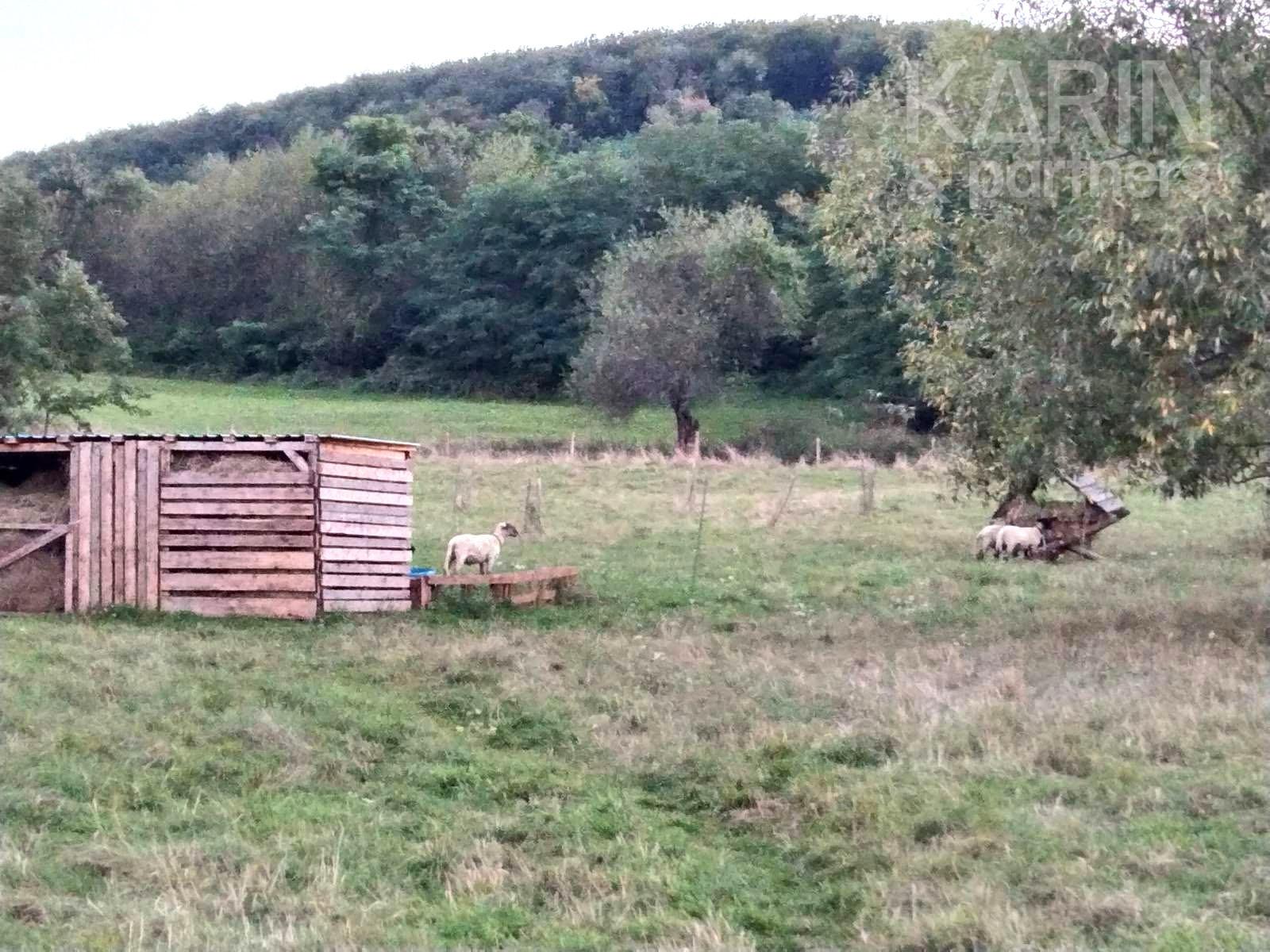 PREDAJ-RODINNÝ DOM -  USADLOSŤ S POZEMKOM 33 000 m² | HORNÉ PLACHTINCE | OKRES VEĽKÝ KRTÍŠ – fotka 2
