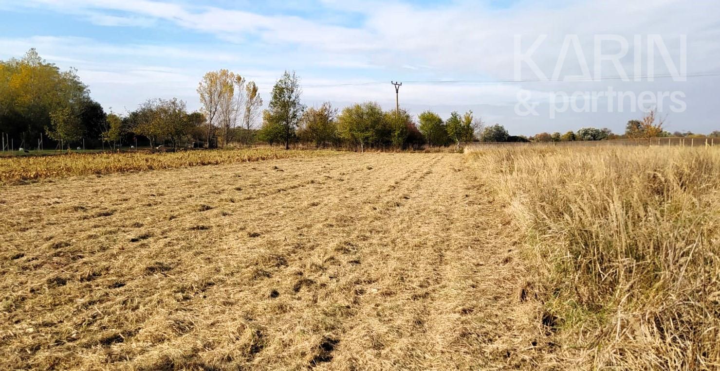 ***Nová cena*** EXKLUZÍVNE len u Nás: Predaj záhrady, odčlenenej novozameranej parcely v obci Palárikovo, vo výmere cca.1500m2 – fotka 2