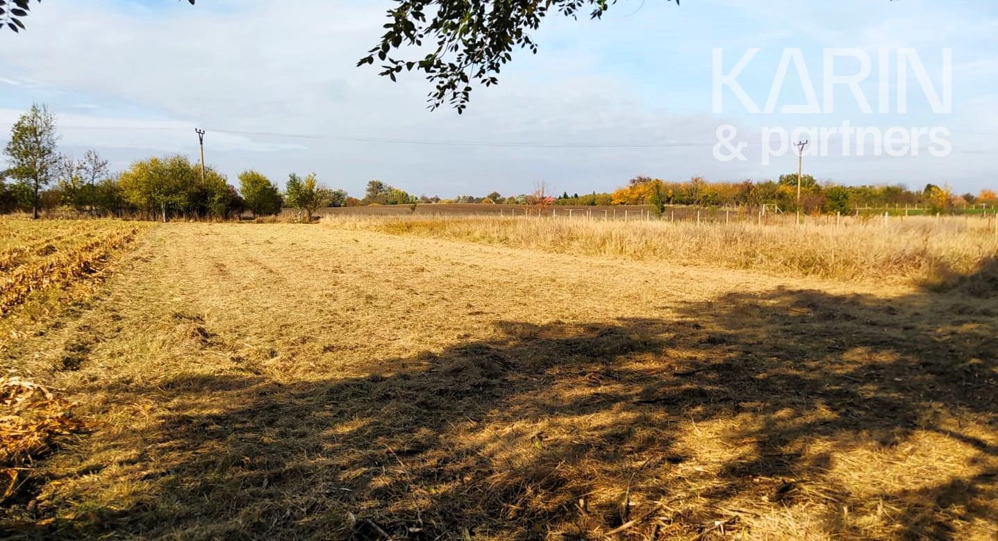 Predaj záhrada: odčlenená novozameraná parcela cca.700m2, Palárikovo