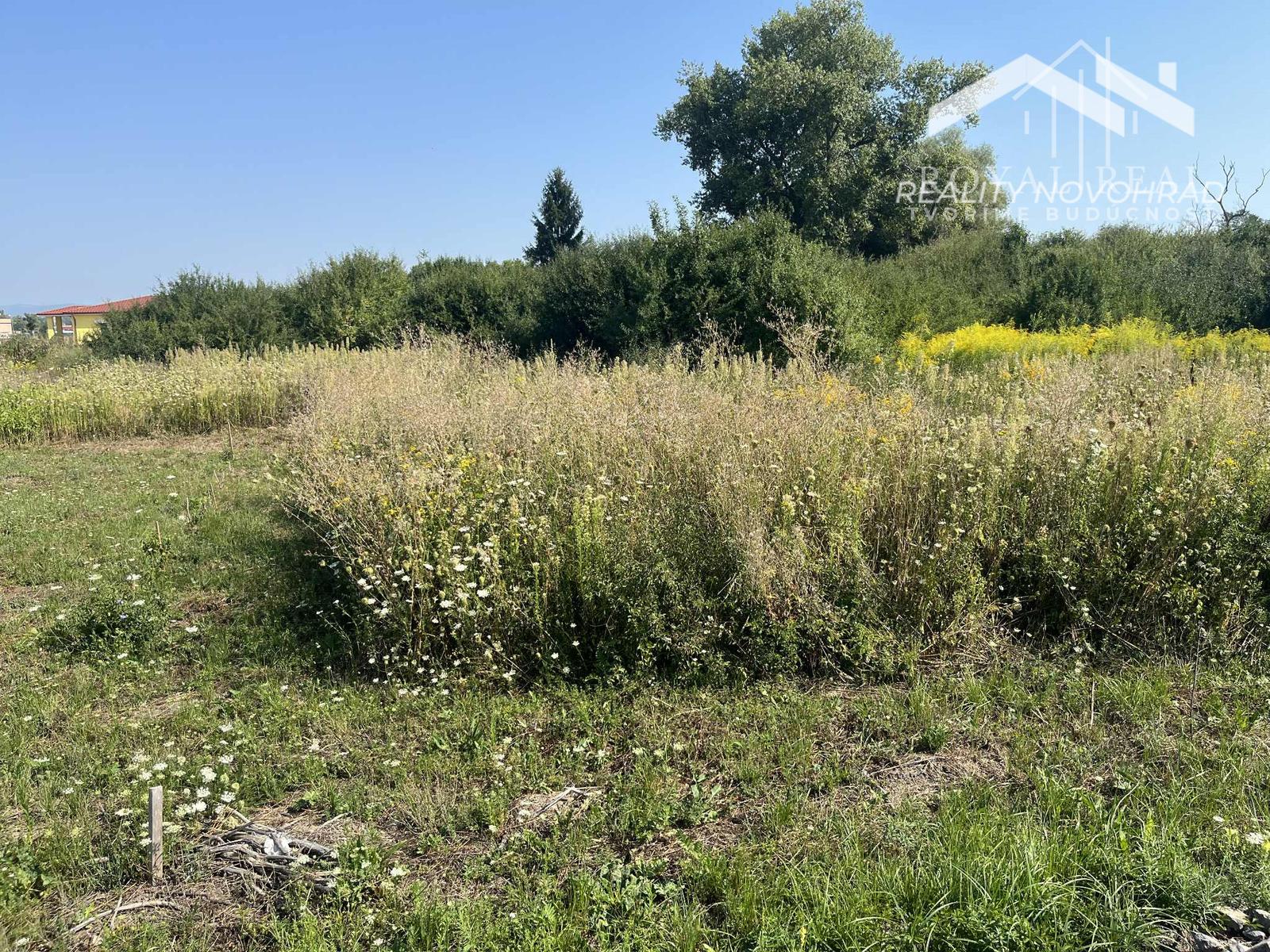 RAPOVCE okr. LUČENEC-  rekreačný pozemok 201 m2 s investičným POTENCIÁLOM – fotka 2