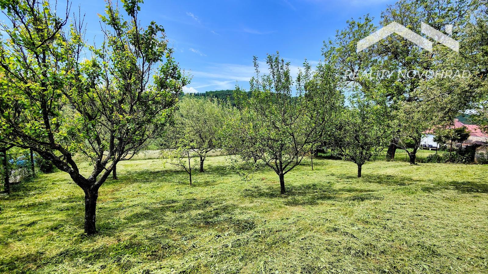 MIMORIADNA ZĽAVA 20 000 €! Dom s charakterom a rozľahlým pozemkom v centre Lovinobane – fotka 2
