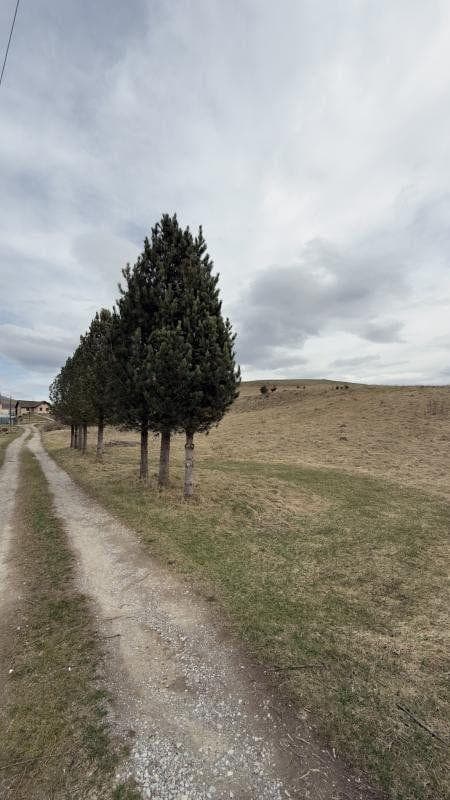 NA PREDAJ: 5x STAVEBNÉ POZEMKY BREZNO TISOVSKÁ CESTA , PODKOREŇOVÁ