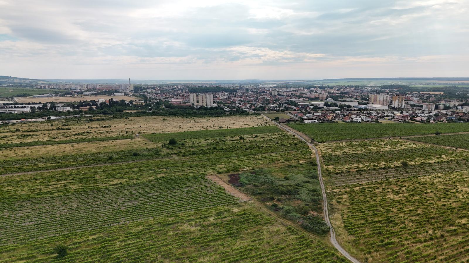 Vinohrad vo vyhľadávanej lokalite medzi Pezinkom a Limbachom