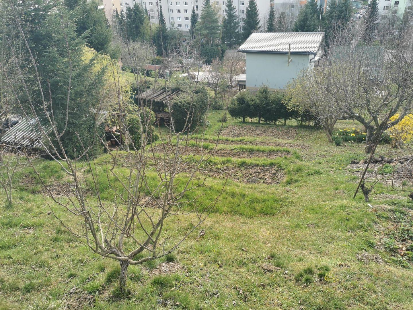 Na predaj záhradka v Liptovskom Mikuláši – lokalita Podbreziny sever – fotka 2
