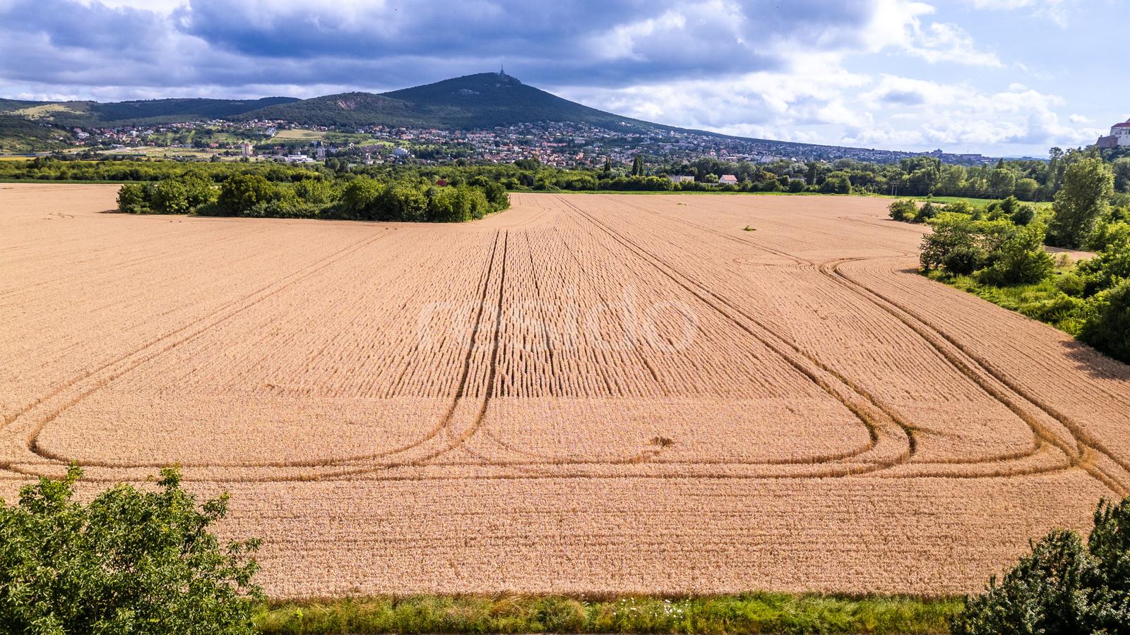 Investičný pozemok s výmerou 20 968 m² v prestížnej lokalite Nitra – Zobor s výnimočným developérskym potenciálom