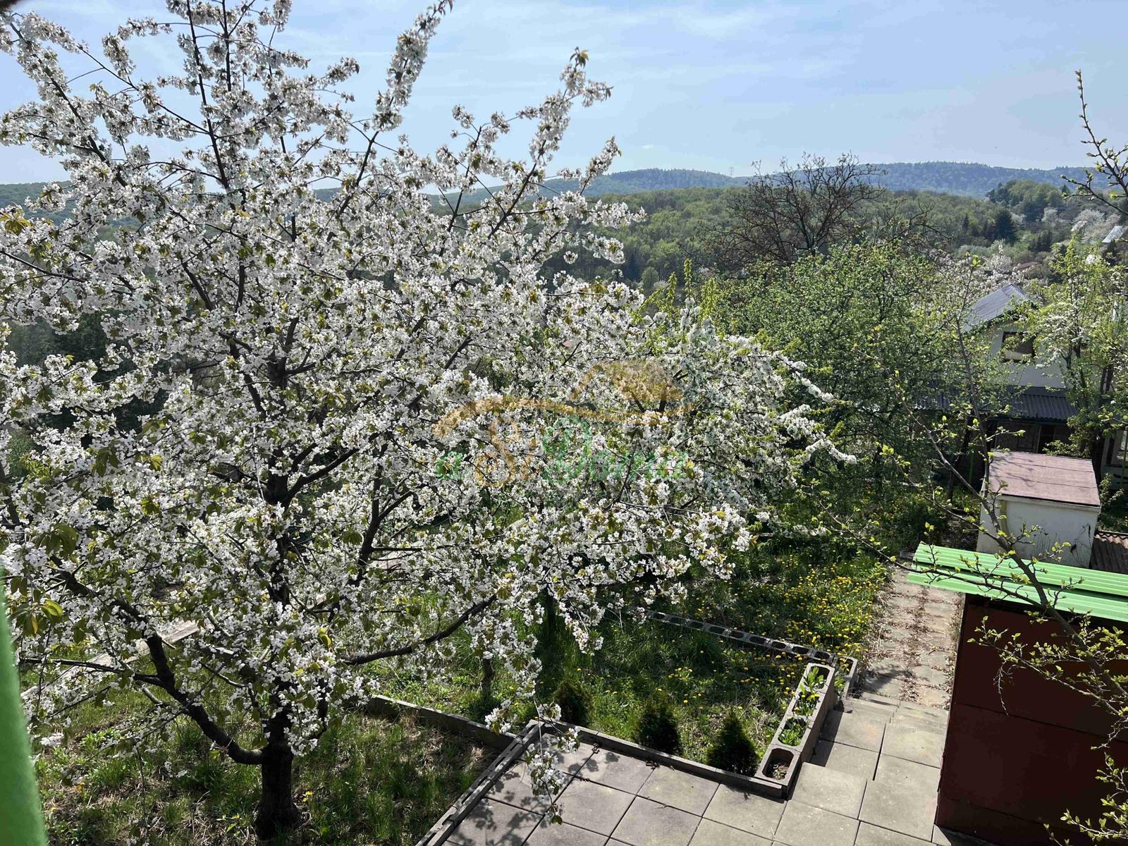 Rekreačná chata s krásnym výhľadom, Košice - Kavečany – fotka 2