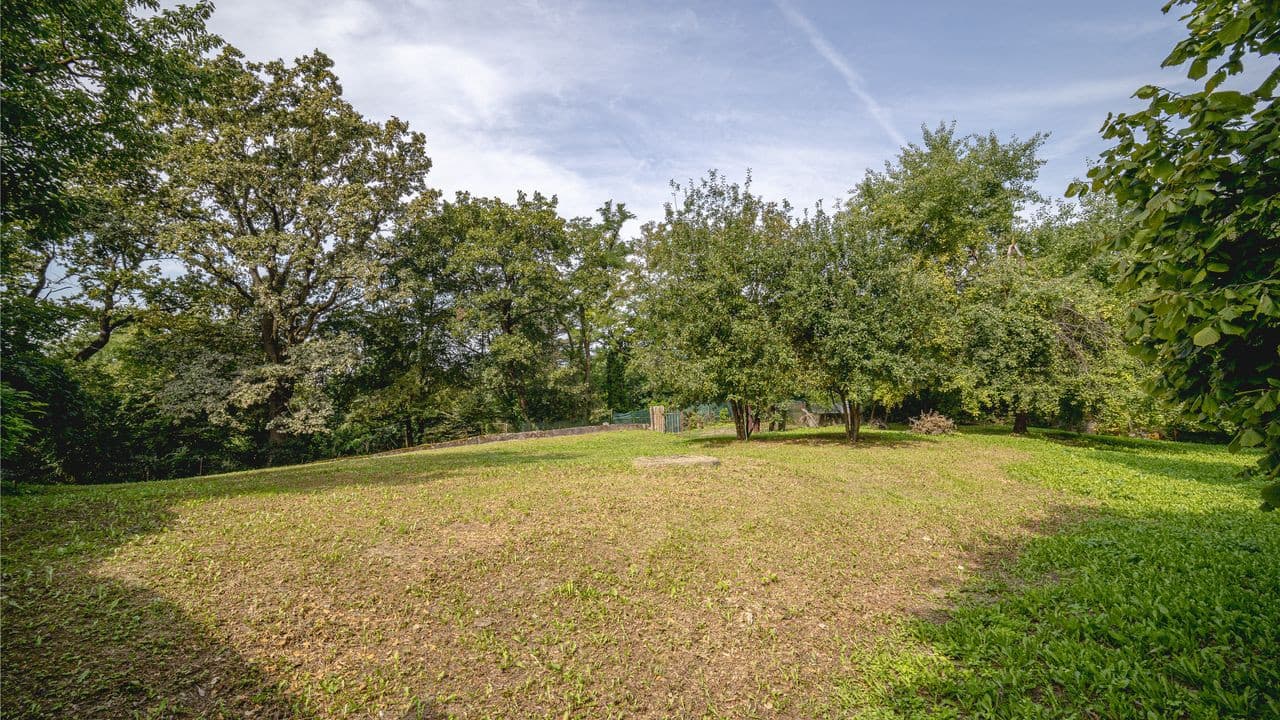 Rekreačný pozemok s vlastným lesom | 4 500 m² | Košice – Krásna – fotka 2