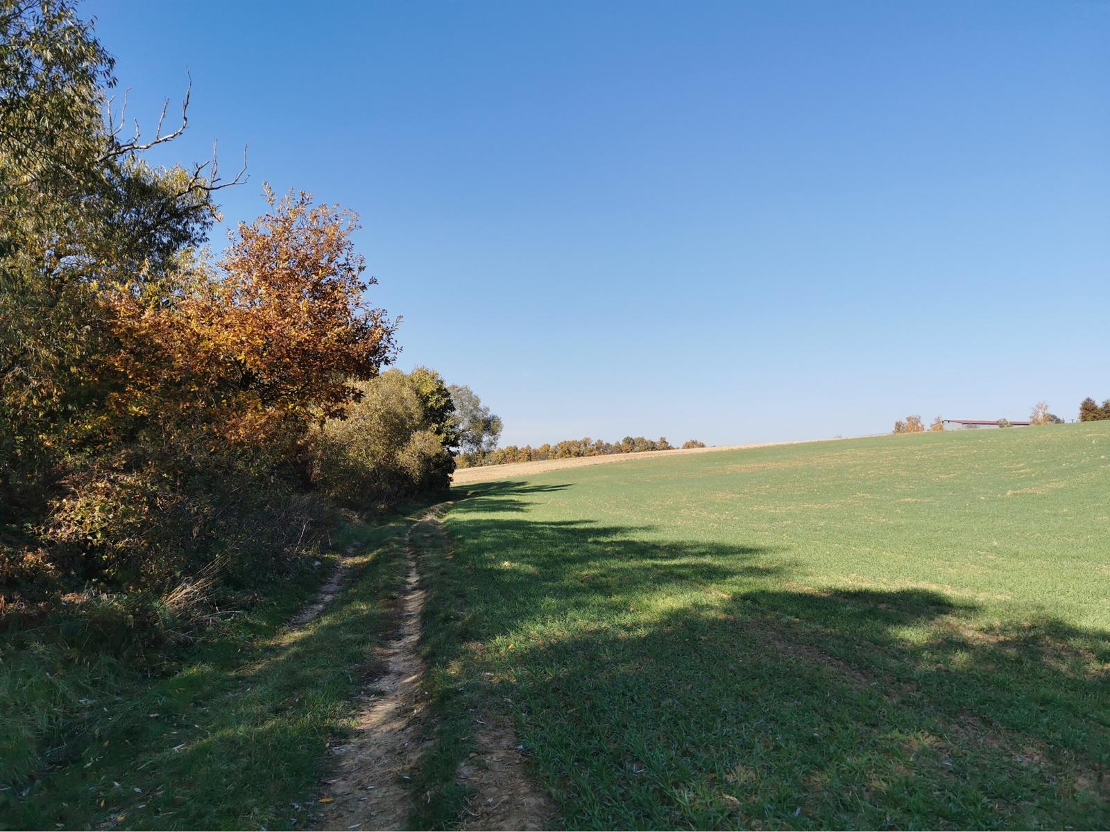 Pozemok v pokojnom prostredí 1401m2 - Veľké Hoste na predaj – fotka 2