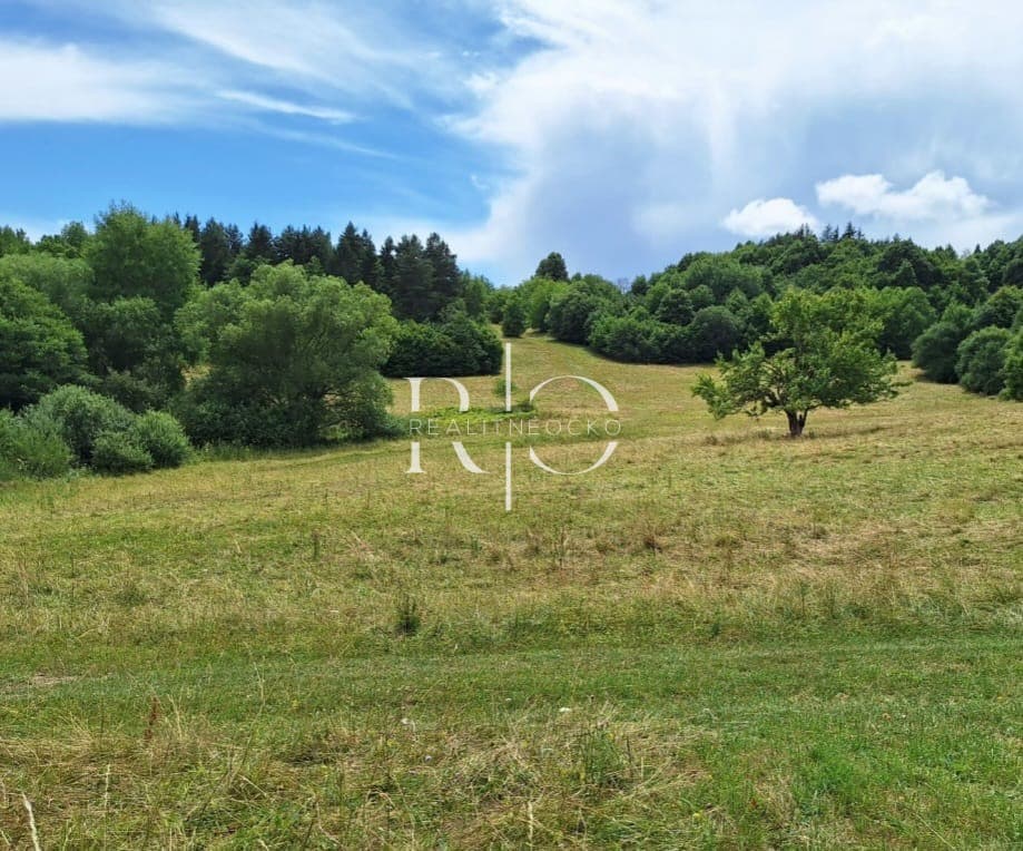 Na predaj  rekreačný pozemok  Skubín