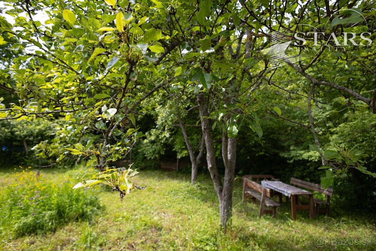 ZÁHRADA POD ŽIBRICOU – 385 m² | STUDŇA | ELEKTRINA | 10 MIN. OD NITRY – fotka 2