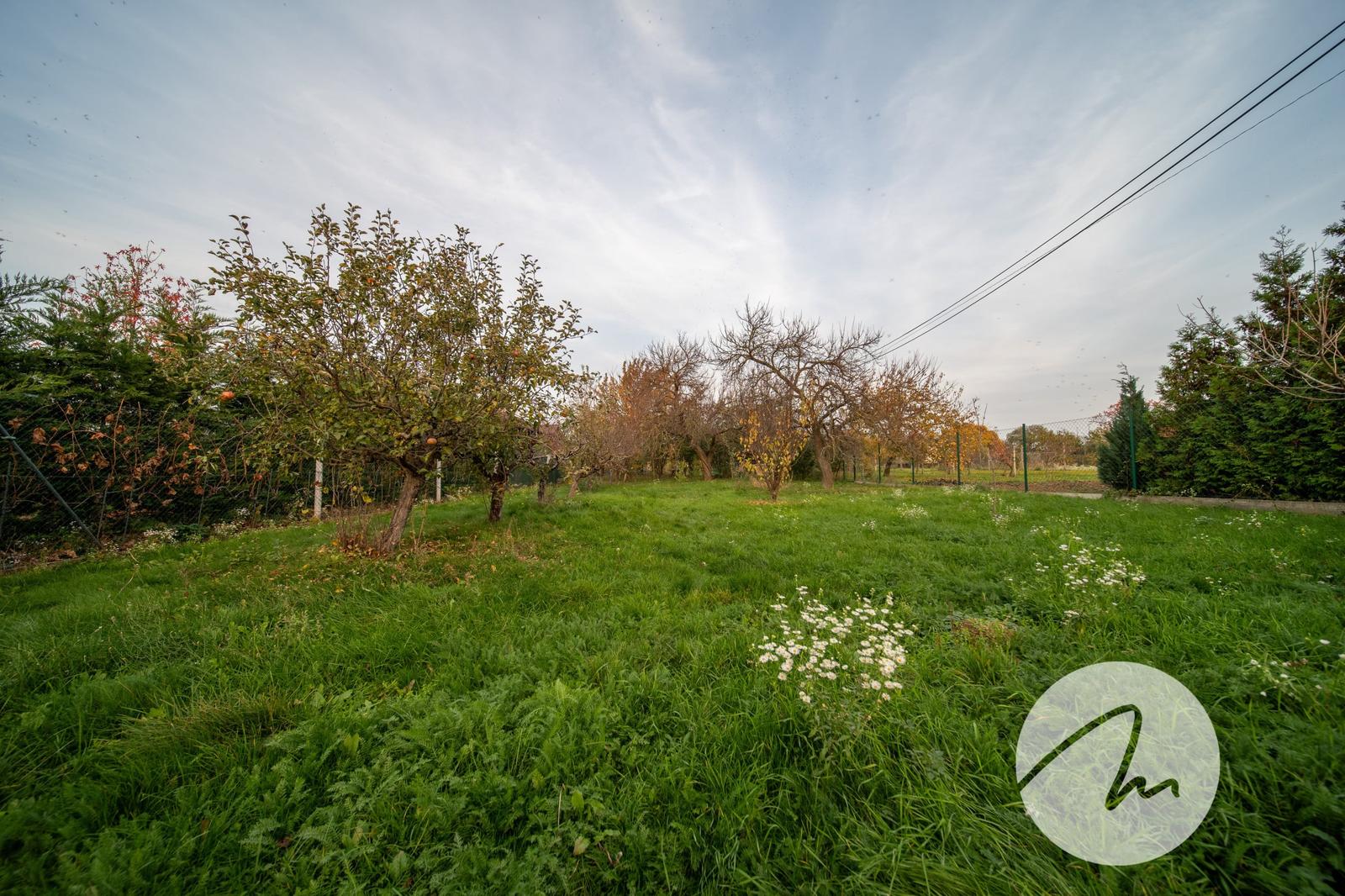 Priestor pre rodinu 4-izbový dom, Viničné, pozemok 1 960 m²