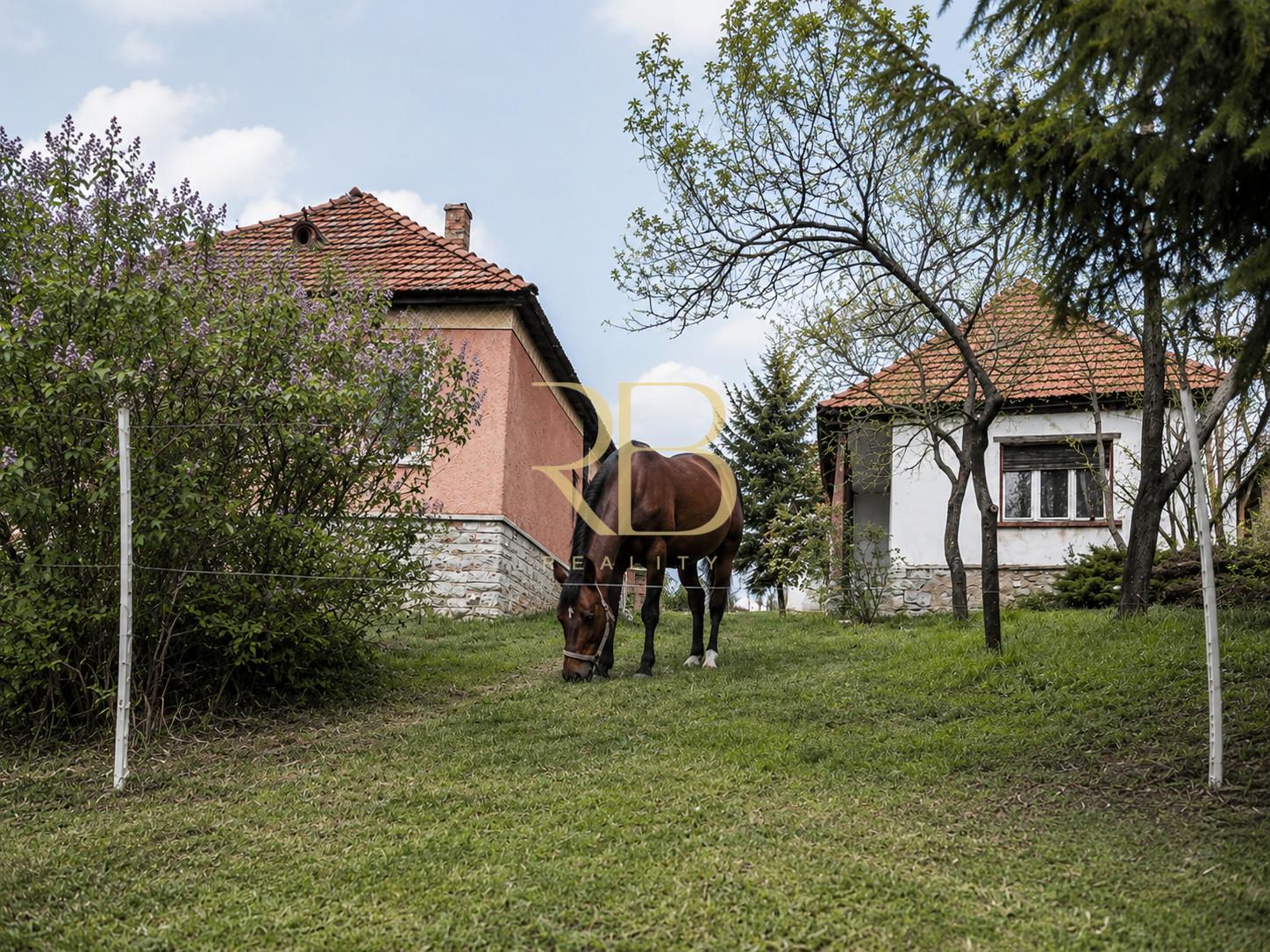 NA PREDAJ _ dva domy _ 73m² a 41m² _  pozemok 3000m²_Szőlősardó