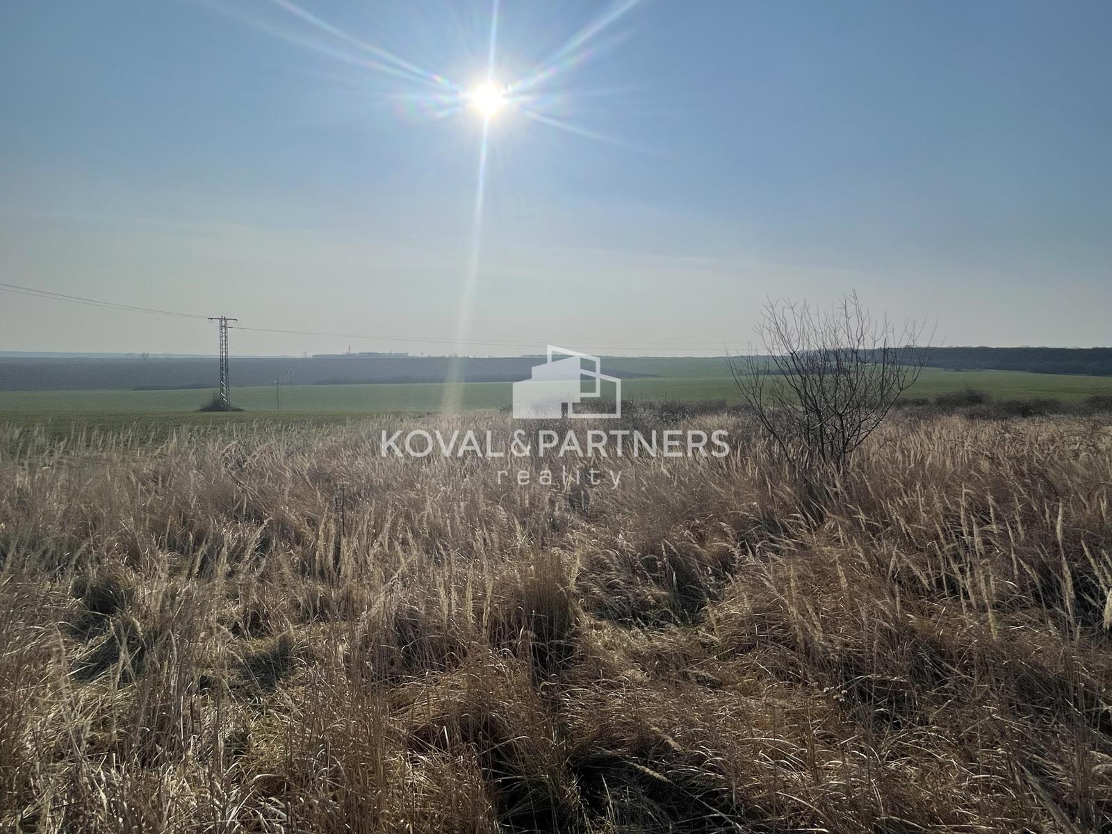 Na predaj orná pôda 3706 m2 – fotka 2