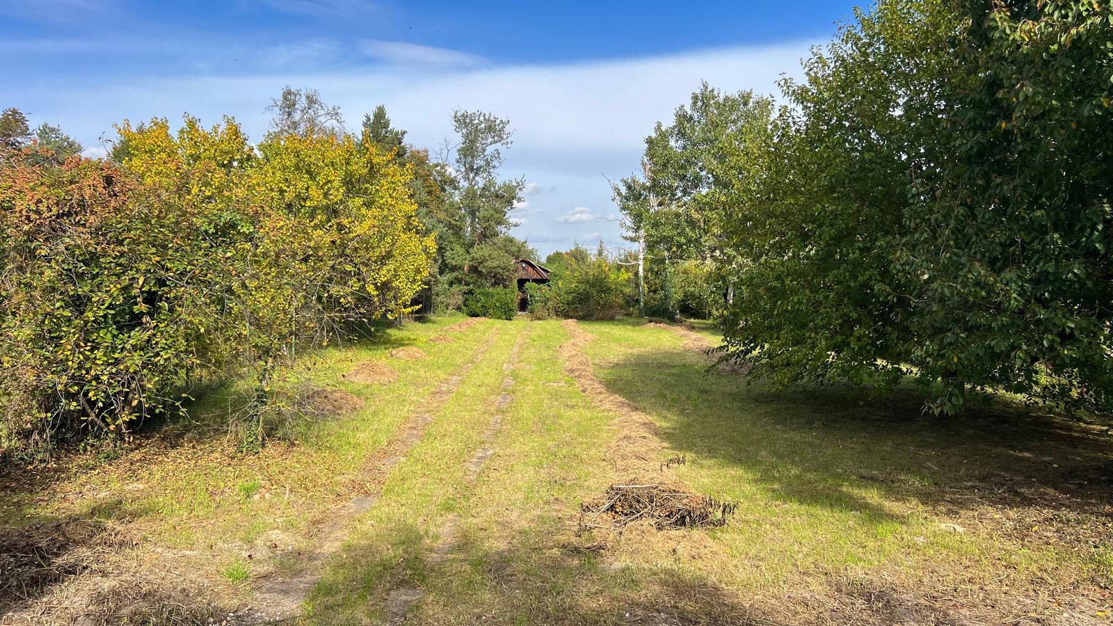 Na predaj stavebný pozemok 800m2, Kvetoslavov – fotka 2