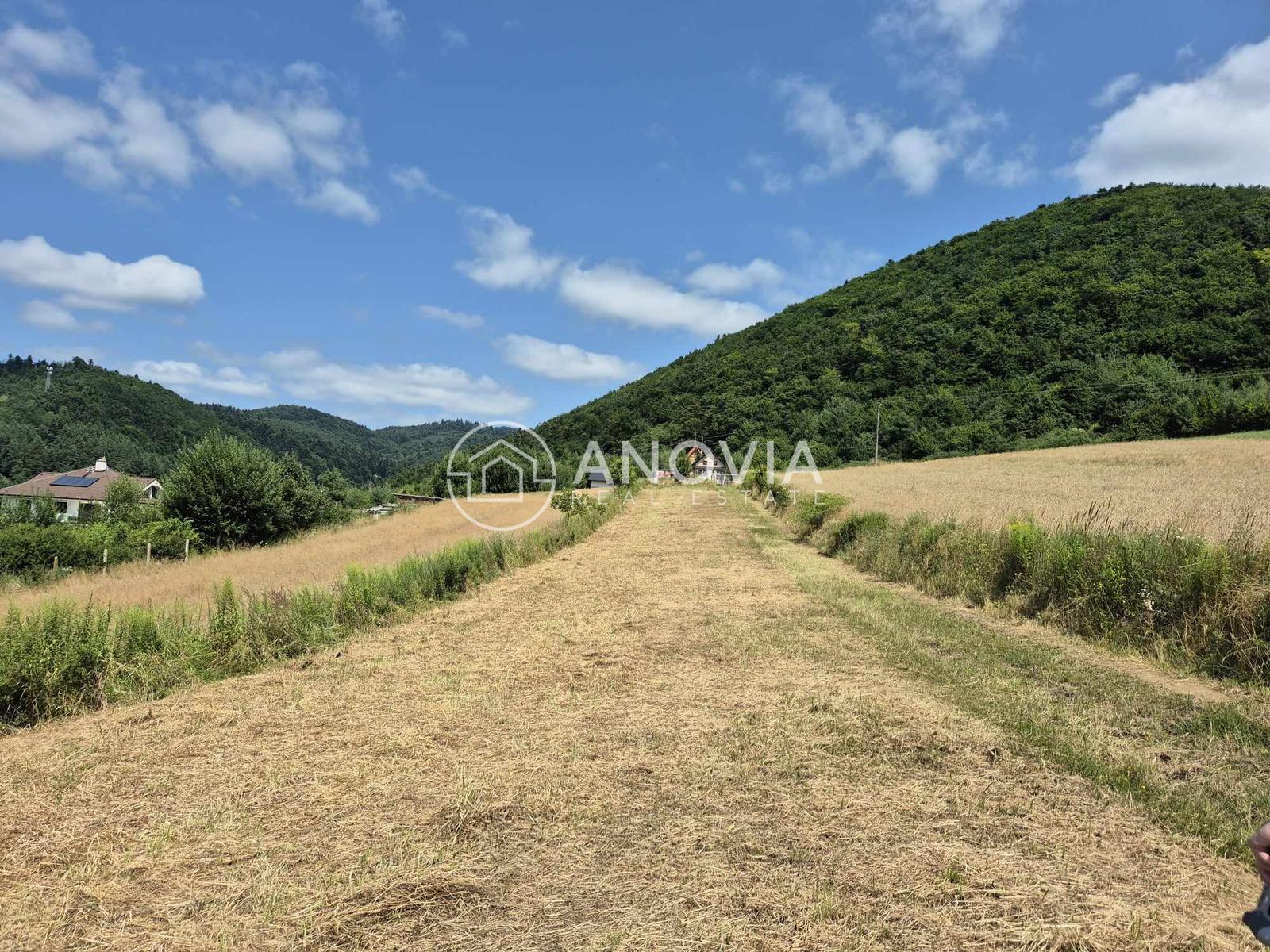 Pozemok na výstavbu chaty Drienica – fotka 2