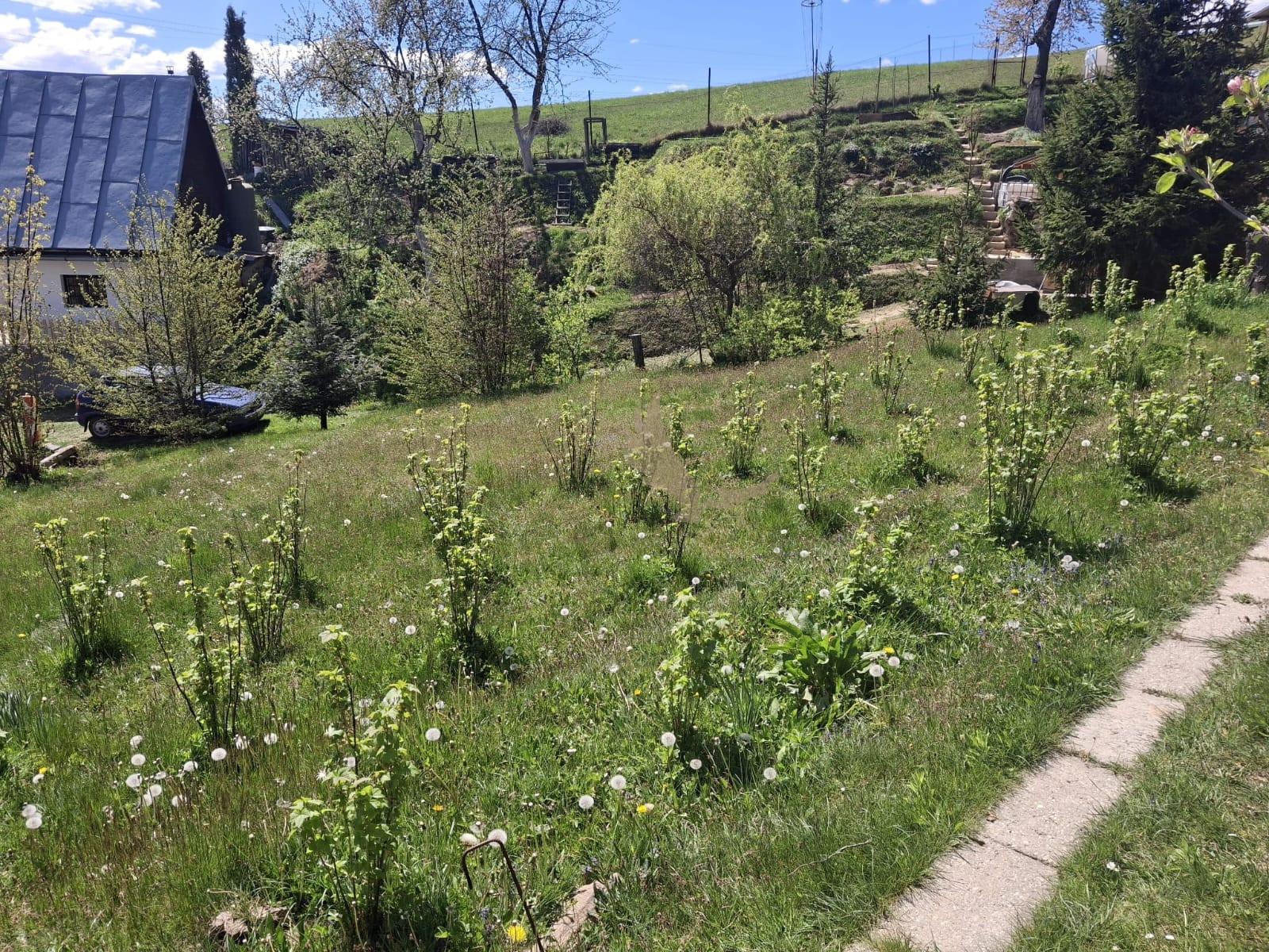 Váš vlastný kúsok pokoja nad Breznom: Pozemok v lokalite Kuľbová (355 m²) – fotka 2