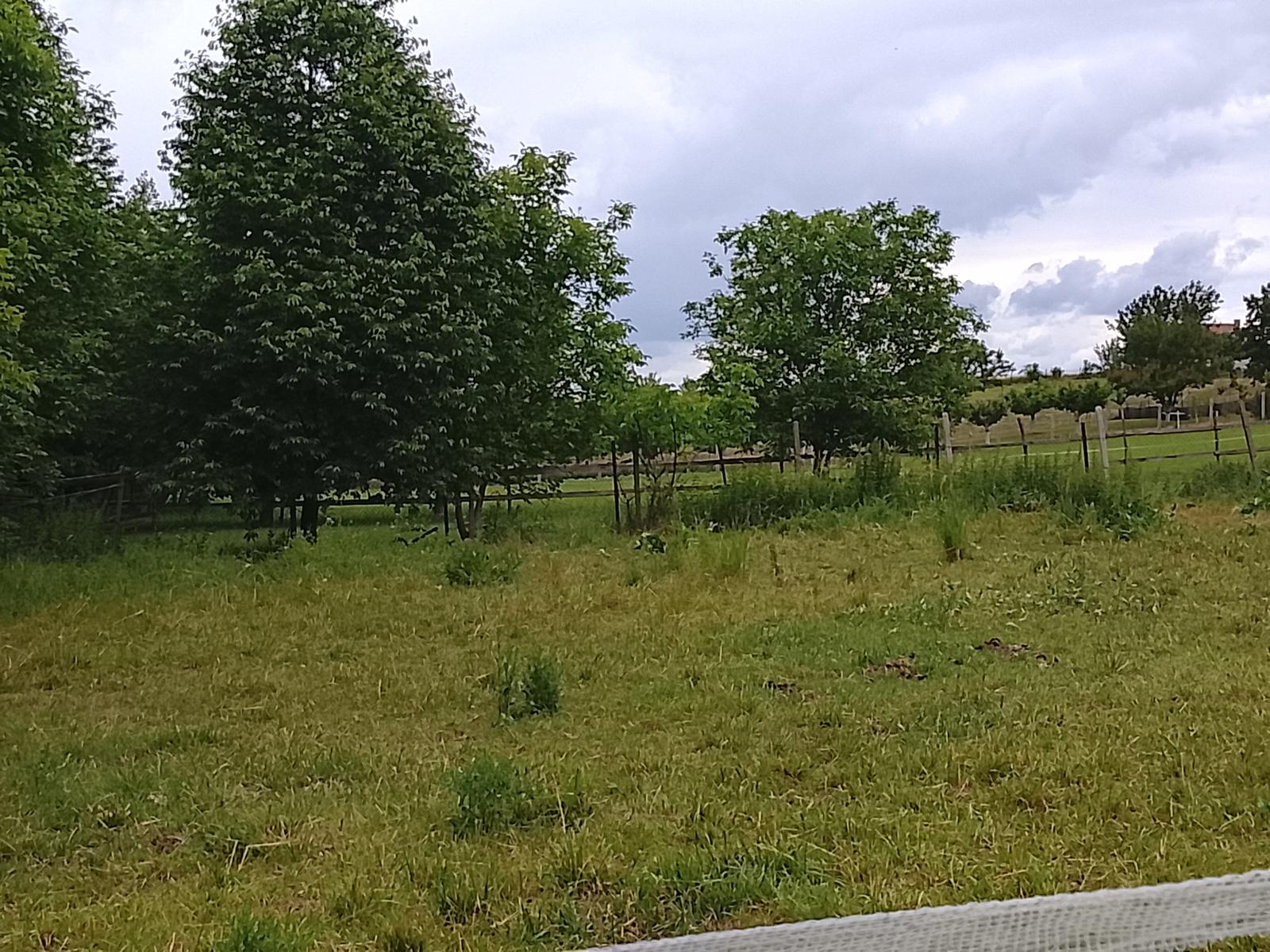 RK4 - NA PREDAJ - stavebný pozemok v obci Malé Ripňany