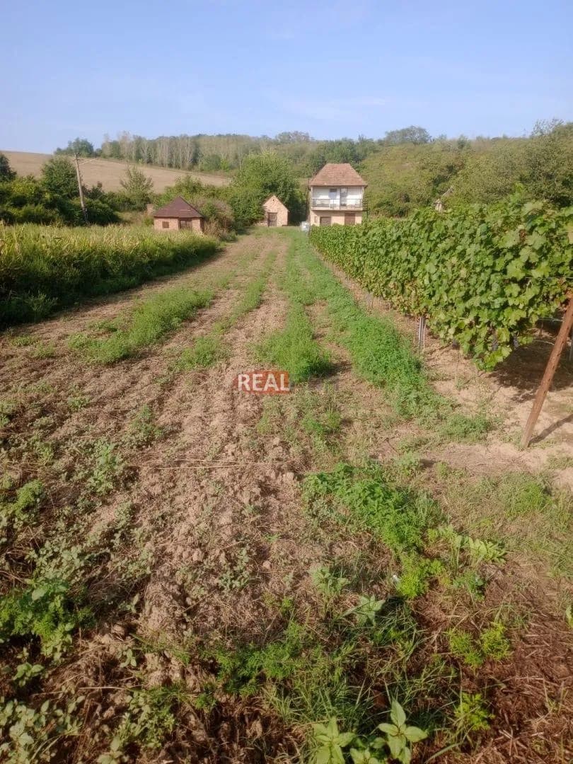 Predaj- Pokojné miesto pre oddych aj pestovanie vlastnej vinice – Modrany /Patince 14 km/