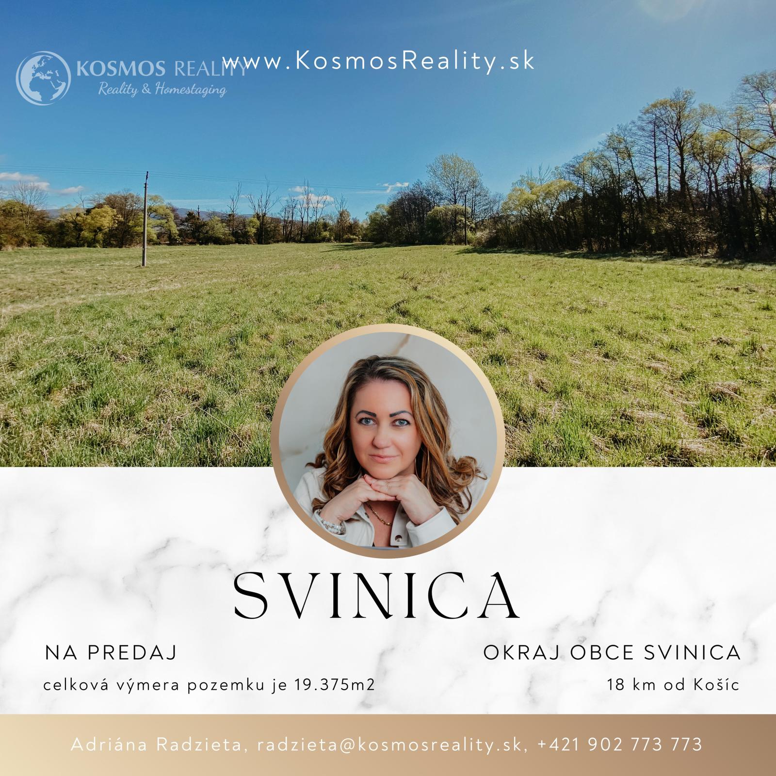 POZEMOK PRE REKREÁCIU - SVINICA