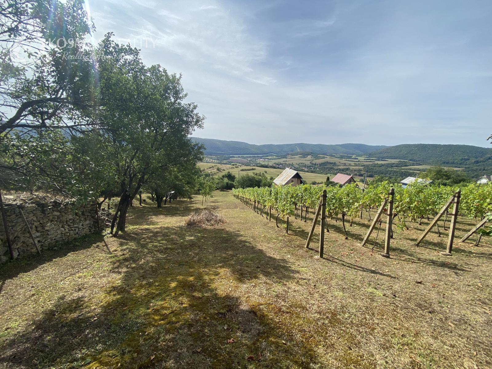 PREDAJ Nádherná vinica s chatkou, Hrušov – fotka 2