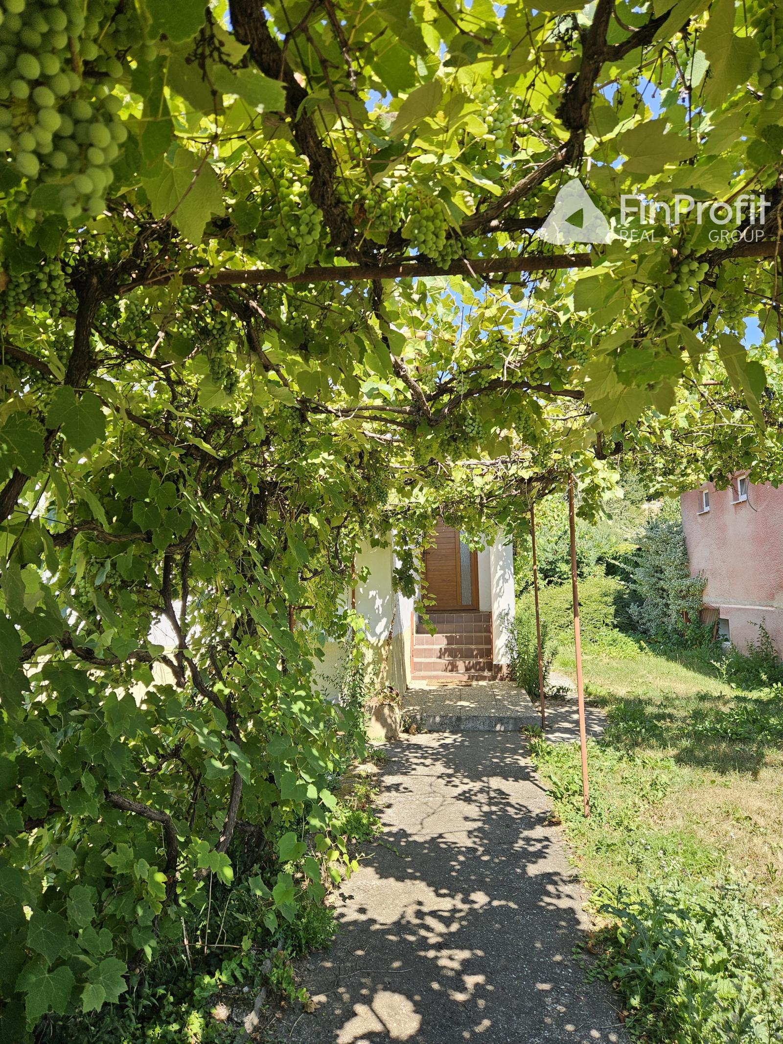 Na predaj rodinný dom v obci Ratnovce s krásnym  pozemkom 1202m2 – fotka 2