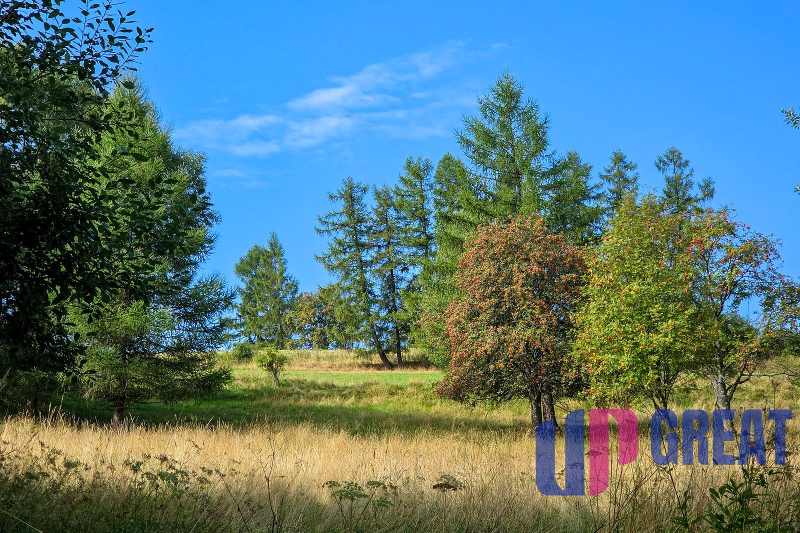 BRUTOVCE - pozemok (3.254m2) NA PREDAJ