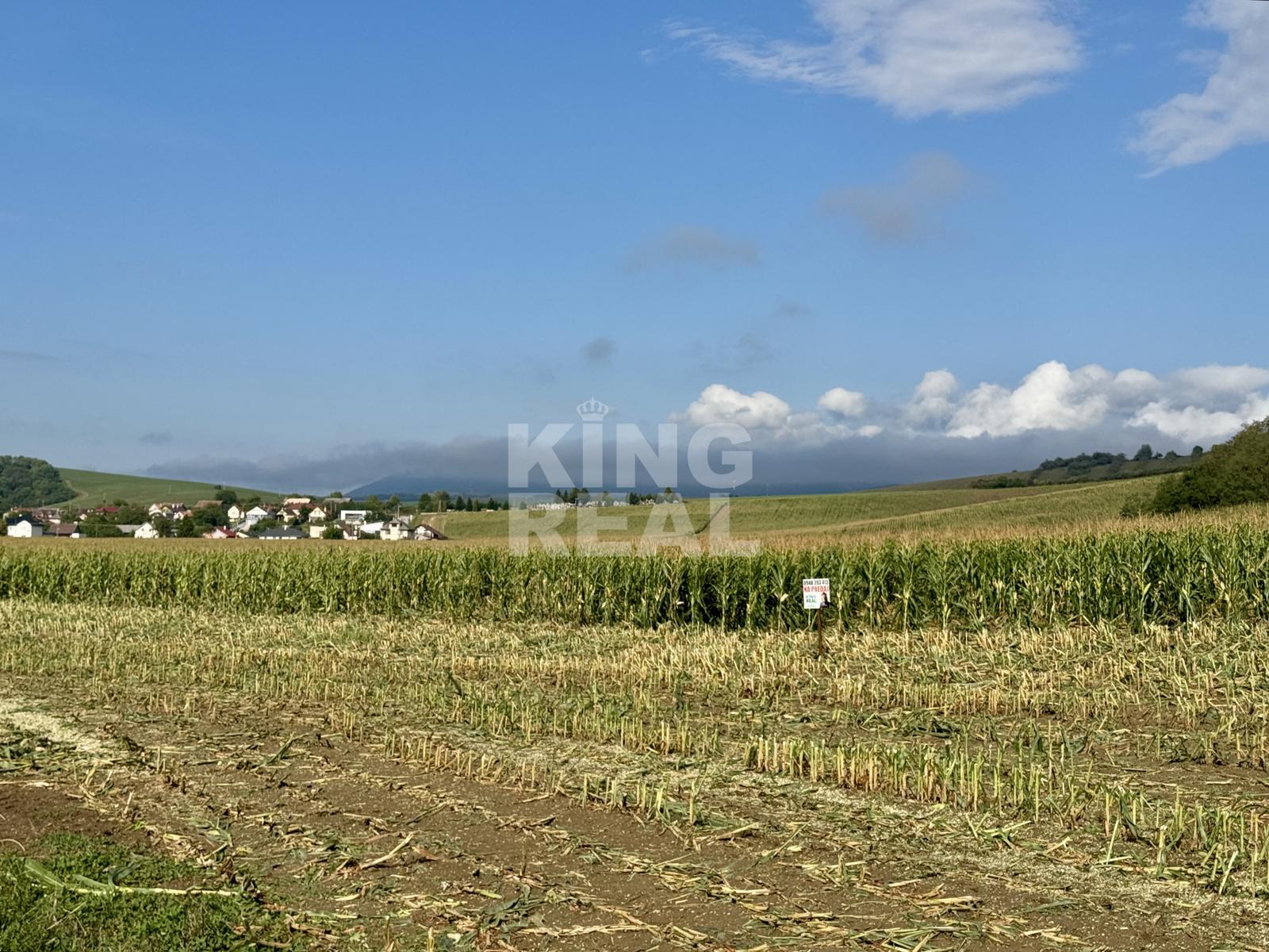 ● ZNÍŽENÁ CENA ● Na predaj veľký pozemok, Záhradné, Prešov – fotka 2
