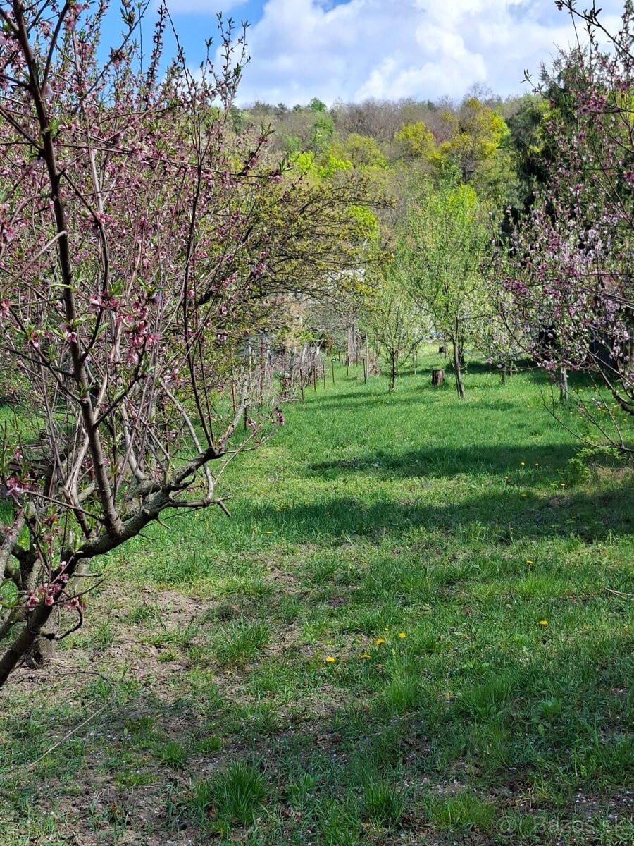 PREDAJ - rekreačný pozemok - BA IV. - Dúbravka – fotka 2