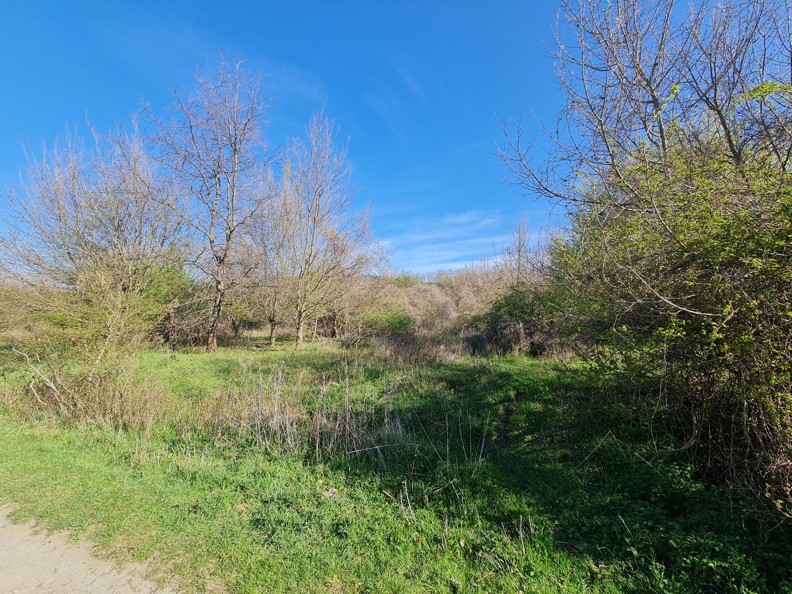 PEKNÝ pozemok 810m2 na záhradku