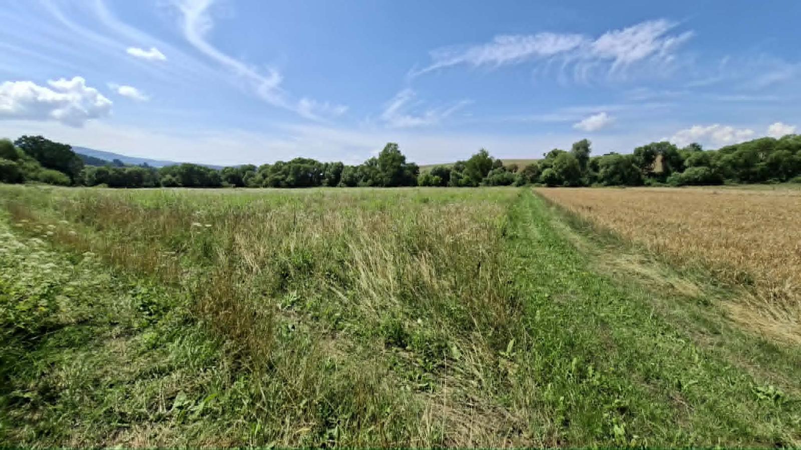 Slnečný rozľahlý pozemok Chmeľovec okr. Prešov, 4561m2
