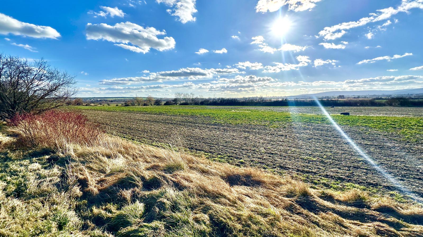 INVESTIČNÝ POZEMOK V MODRE – 2938 m² A V SRDCI MALÝCH KARPÁT – fotka 2