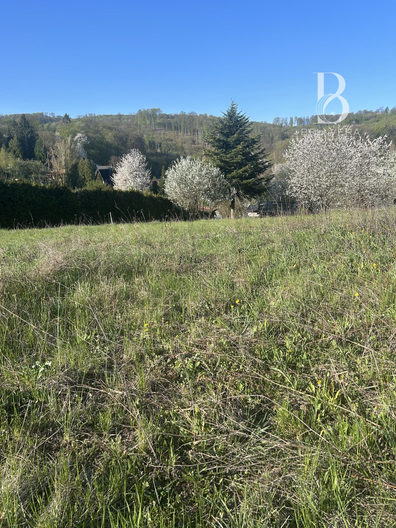 Nadštandardný pozemok 2 150 m² pod Malkovskou hôrkou
