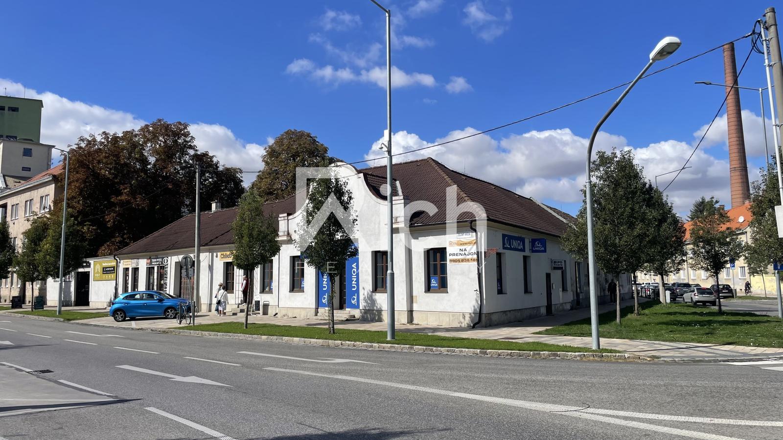 Lukratívny nebytový priestor v centre Trnavy , Zelený kríček