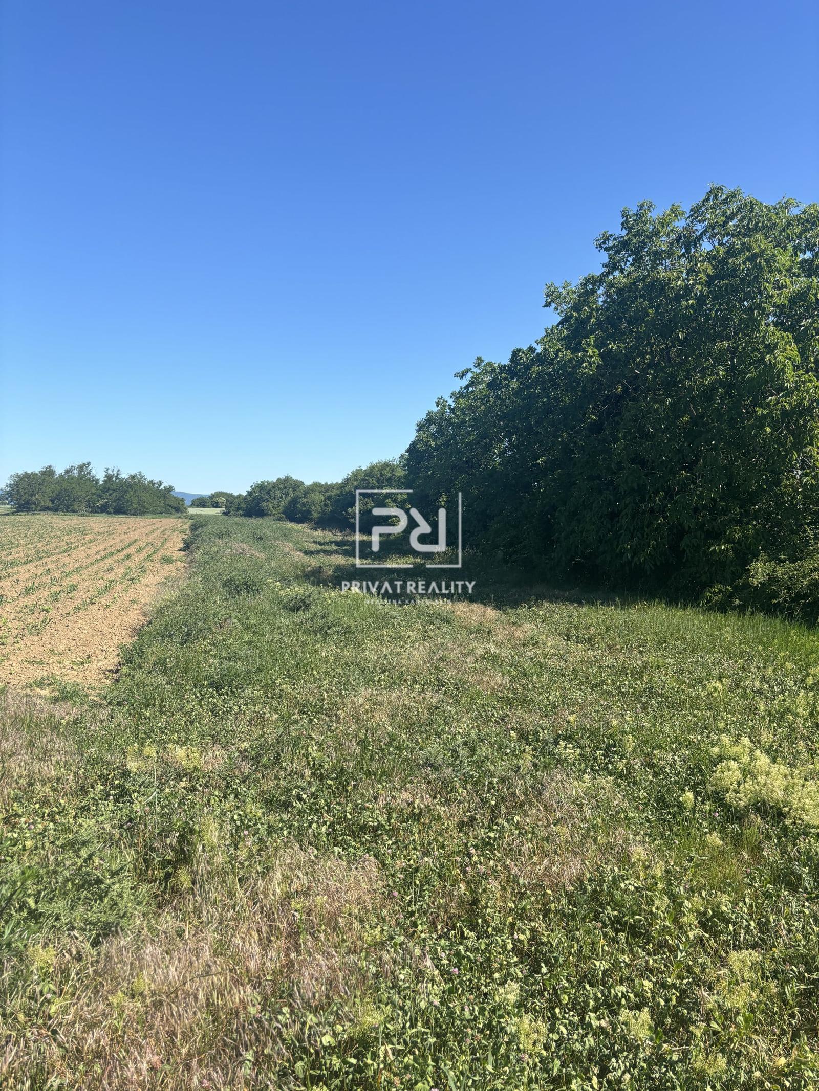 Predaj pozemok v Bernolákove. – fotka 2