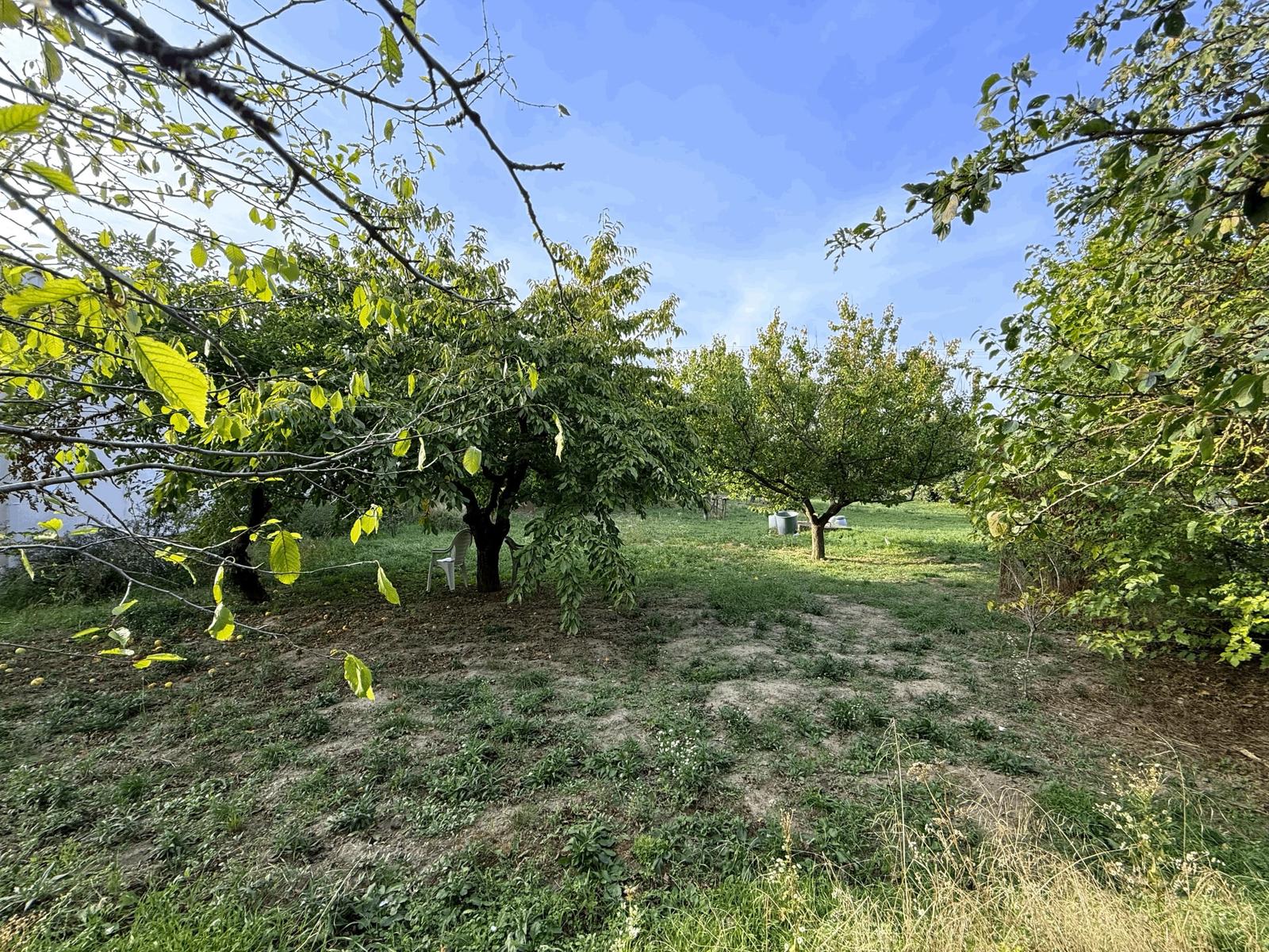 ZÁHRADA 299 m² V DUNAJSKEJ LUŽNEJ – LEN KÚSOK OD BRATISLAVY
