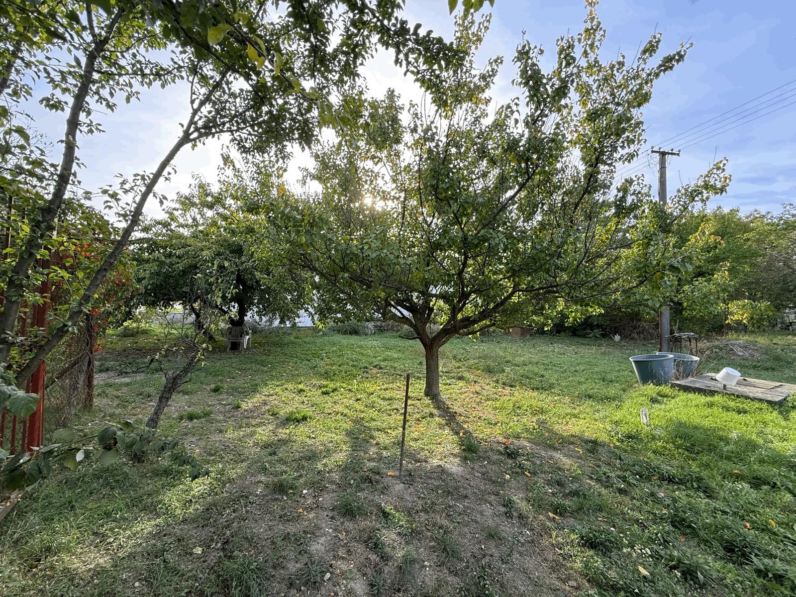 ZÁHRADA 299 m² V DUNAJSKEJ LUŽNEJ – LEN KÚSOK OD BRATISLAVY – fotka 2