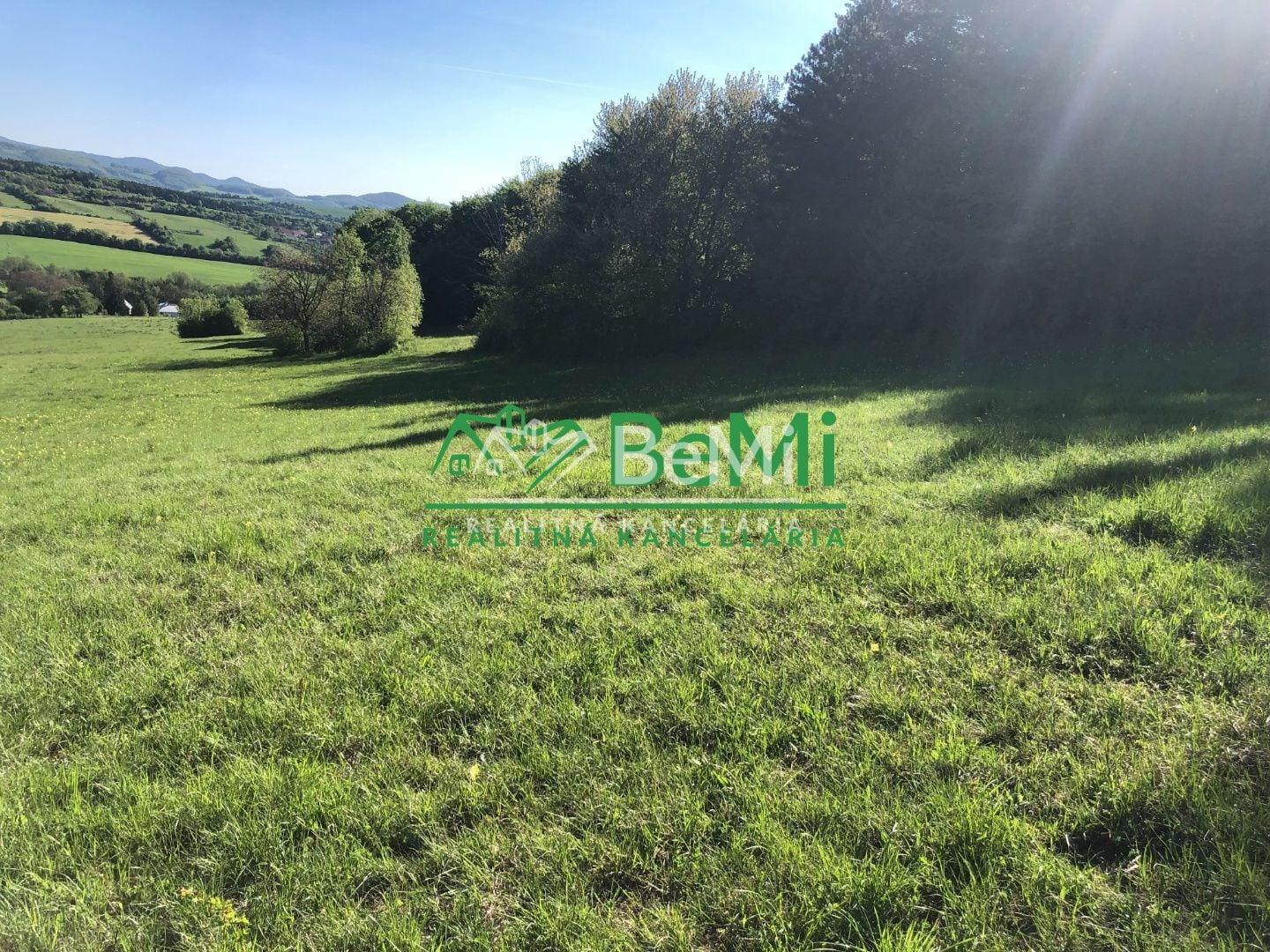 Predaj pozemkov – orná pôda 5 823 m² Bzince pod Javorinou – fotka 2