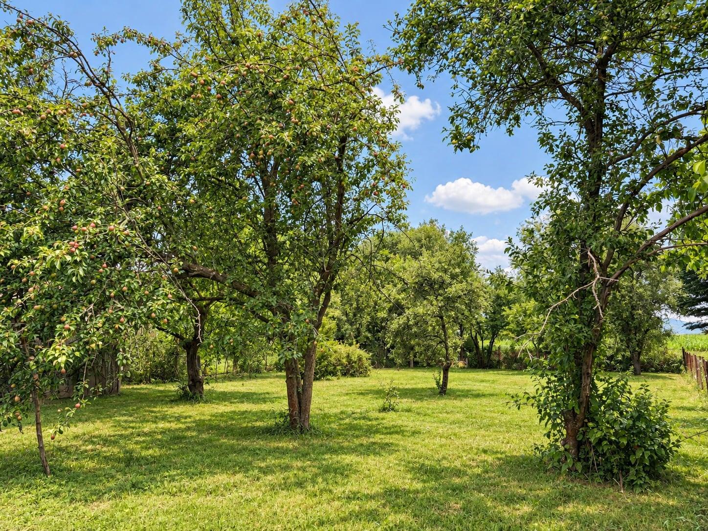 Stavebný pozemok 609 m² - ul. Žltá Nitrianske Pravno – fotka 2
