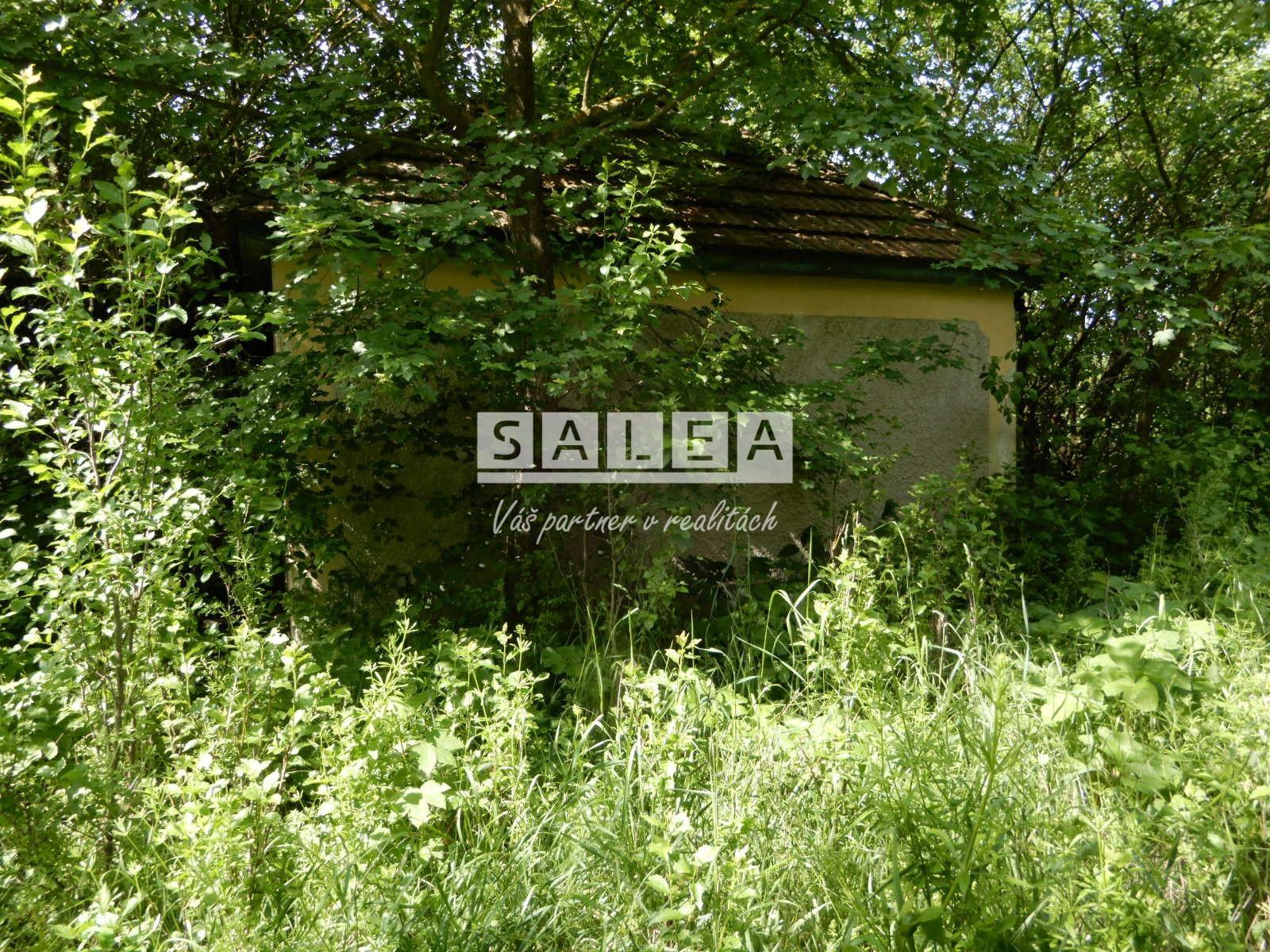 Vinica na predaj, 2500 m2, Farná, okr. Levice – fotka 2
