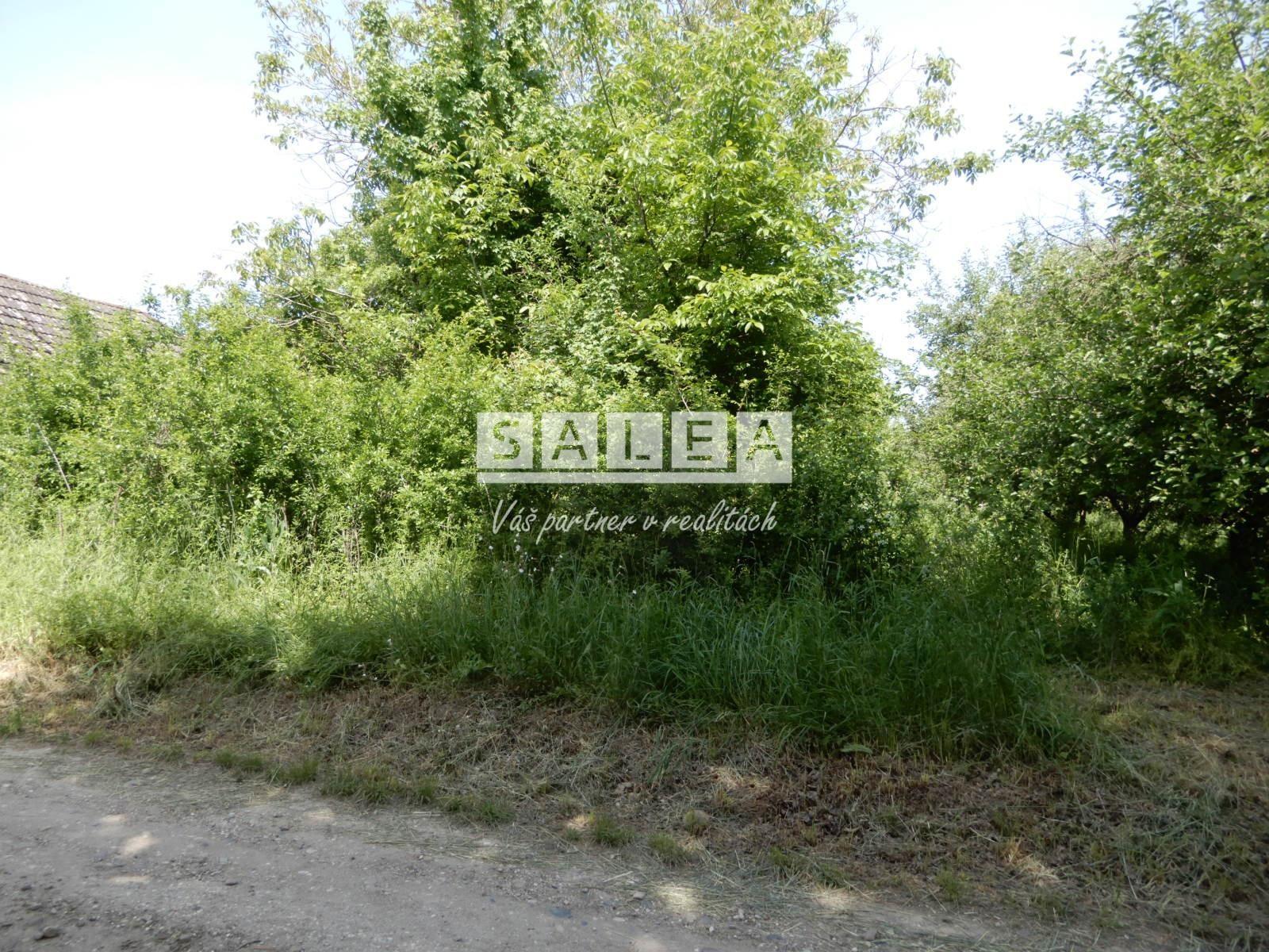 Vinica na predaj, 2500 m2, Farná, okr. Levice