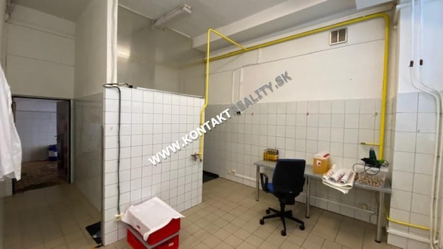 Kuchyňa, menší výrobný priestor 38 m2,ul. Rastislavova, Juh