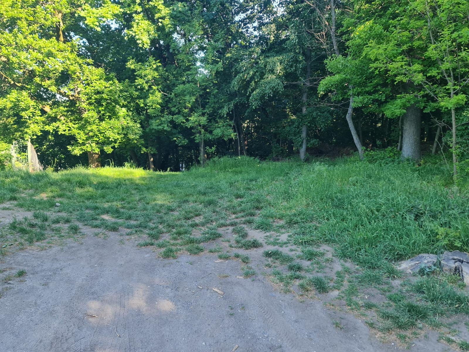 Krásny pozemok 650m2 pri lese akurát na chatu!